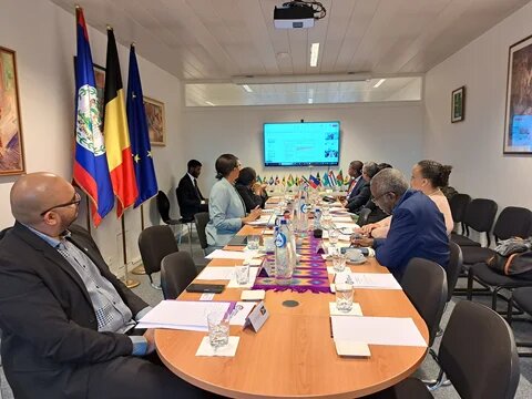  Presentación del Policy Brief “Iniciativas innovadoras para la financiación climática en la cooperación entre América Latina y el Caribe y la Unión Europea”.