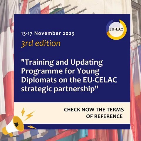 young diplomats