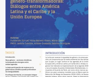 Policy Brief 6